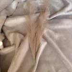 Mogyoró